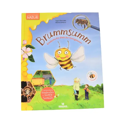 Kinderbuch Brummsumm (Aygen-Sibel Celik & Markus Gerhards)